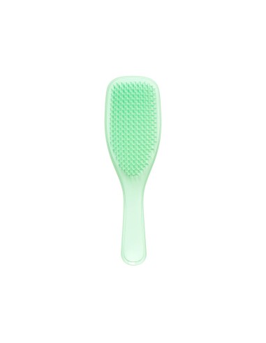 Tangle Teezer Bagnato Detangler Fine e Fragile Menta