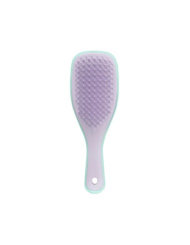 Tangle Teezer Mini bagnato Detangler Mint / Lilac