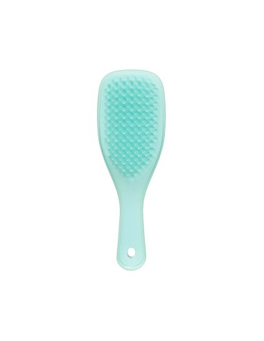 Tangle Teezer Mini Bagnato Detangler Mint