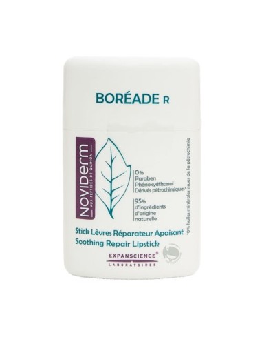 Boréade R Stick Labbra 11ml